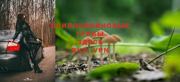 стафф Кукмор