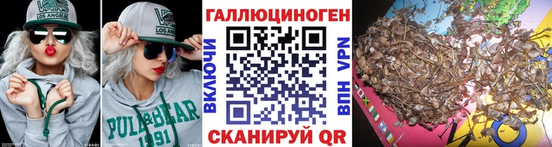 Галлюциногенные грибы GOLDEN TEACHER Купить где Краснообск